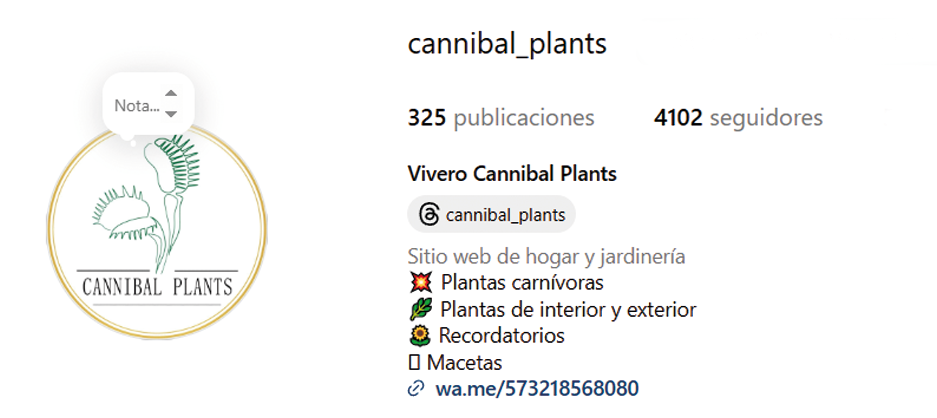 Instagram Cliente 7