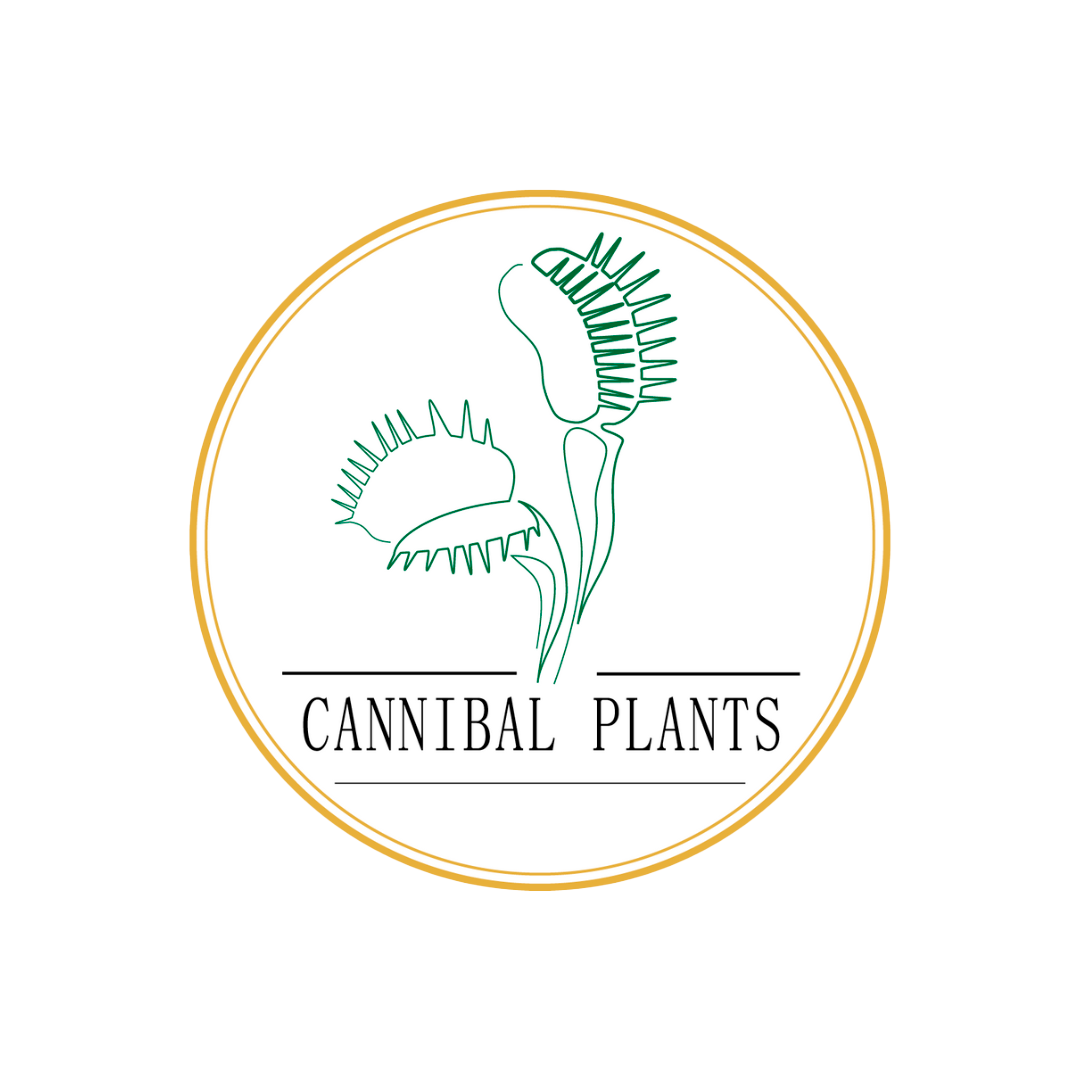 Logo Cliente C